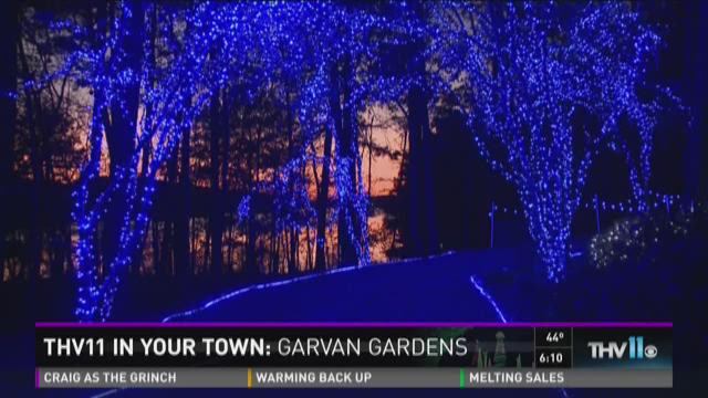 thv in your town the people behind the popular garvan gardens light display - Garvan Gardens Christmas Lights thv in your town the people behind the popular garvan gardens light display - Garvan Gardens Christmas Lights