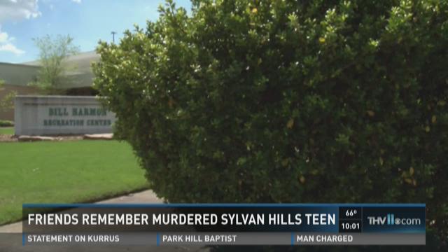 article preview image